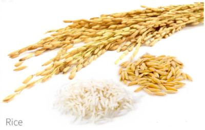 100%Rice Flour Red/Brown & White (Oryza Sativa) Gluten Free Organic