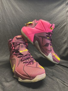lebron 12 double helix