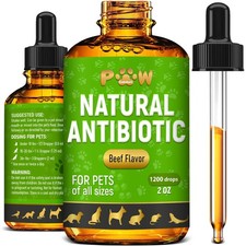 Antibiotics for Dogs 1 Pack x 2 Fl Oz, Light green with golden elements
