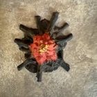 G.I. Joe Fire Campfire Adventure Team Accessory