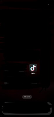 iPhone 14 Pro Max With TikTok Downloaded In It!! 