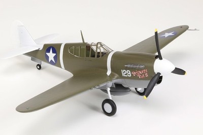 Easy Model 1/48 P-40M Warhawk Princess Pat II USAAF 18th FG, 44th FS