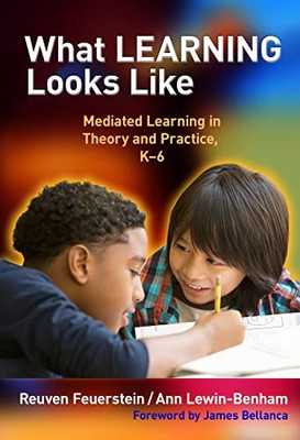 What Learning Looks Like: Mediated Learning in Theory and Practice, K-6 by ...