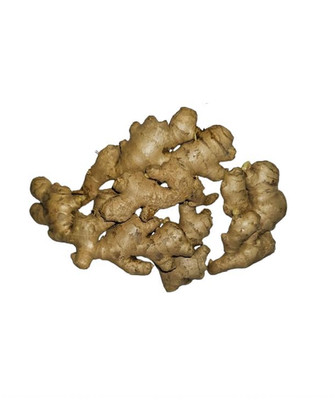 Frische Ingwerwurzel, 1 kg roher Ingwer zum Kochen, Säften & Kräutertee