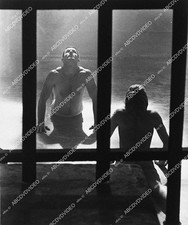 6446-015 John Hurt, Brad Davis film Midnight Express 6446-015 6446-015