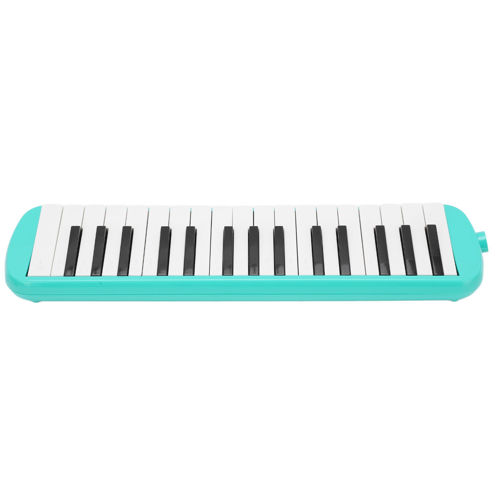 Melodica Professionale 32 Tasti foto 3