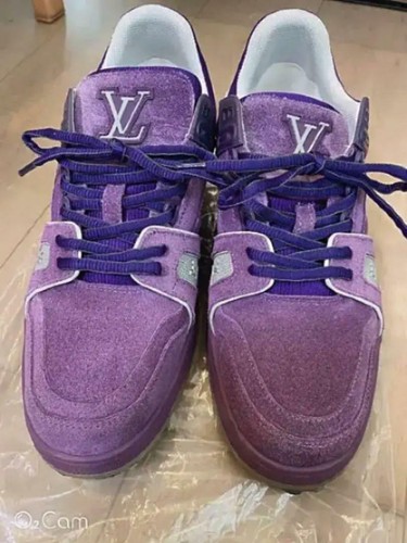 LOUIS VUITTON LV Trainer Sneakers Suede 