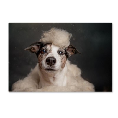 1X00516-C2232GG Canvas Art, 22x32