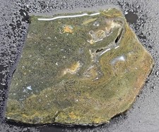 Green Moss agate slab Eastern Oregon Rough Unpolished. R214