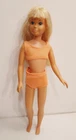 Vintage 1970's The Sun Set Malibu Skipper Doll Barbie Sis Original Outfit #1069