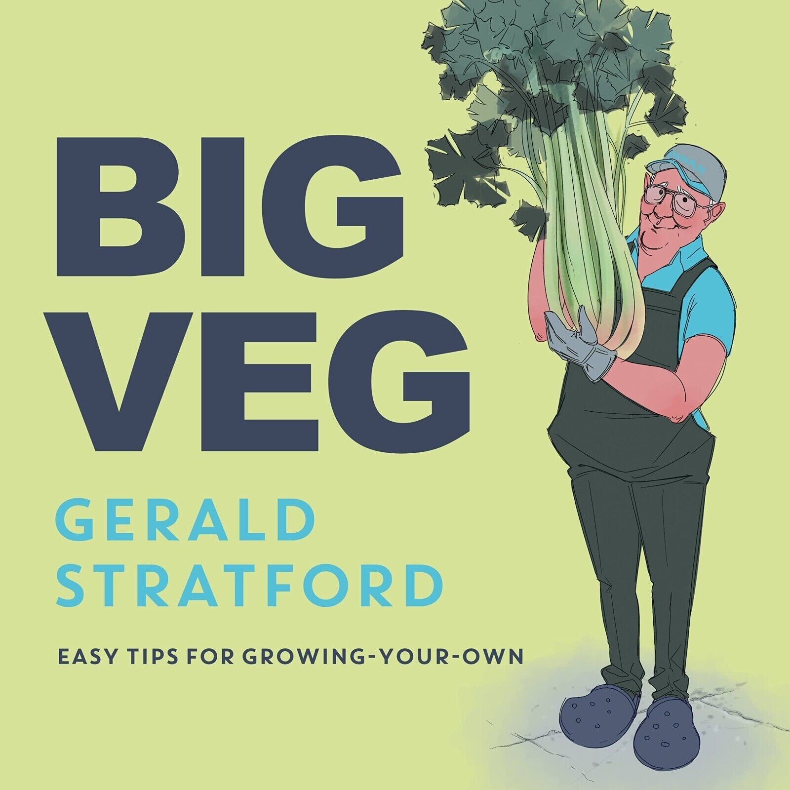 Big Veg Learn how to grow your own with Vegetable King by Gerald Stratford NEW