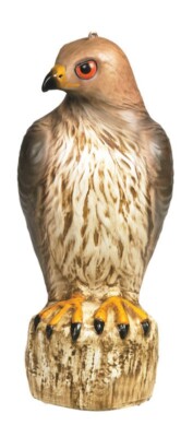 Bird-B-Gone Bird Deterrent Decoy Lifelike Red Tailed Hawks Easy To Mount 17 in