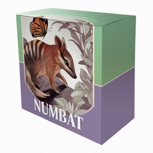 Niue 2025 BABY NUMBAT Joey Lindo y Mimoso En Peligro $1 OZ Color Plata Pura OGP - Imagen 2 de 8