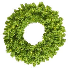 Vickerman K168631LED Flocked Lime Dural-Lit Wreath with Lime LED Lights 30 in.