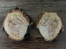 Cherry Burl Slices, 2 Pieces, One Inch Thick Between 4-5 Inches Wide