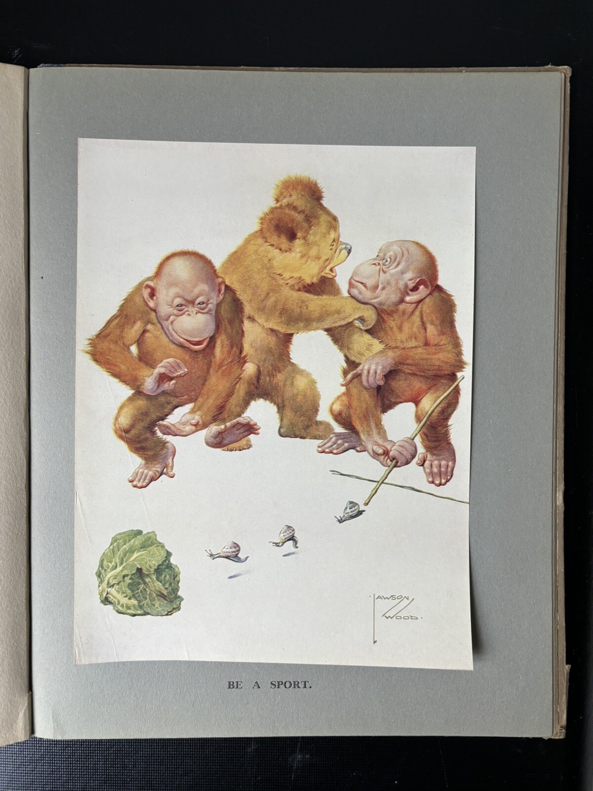 Picture 16 of 18