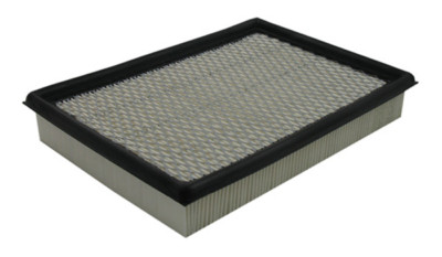 Air Filter Pentius PAB7365