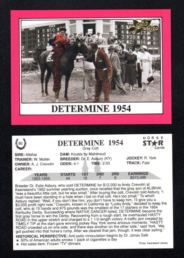 Determine 1954 Kentucky Derby Winner 1990 Horse Star Cards Gold Foil Rare!