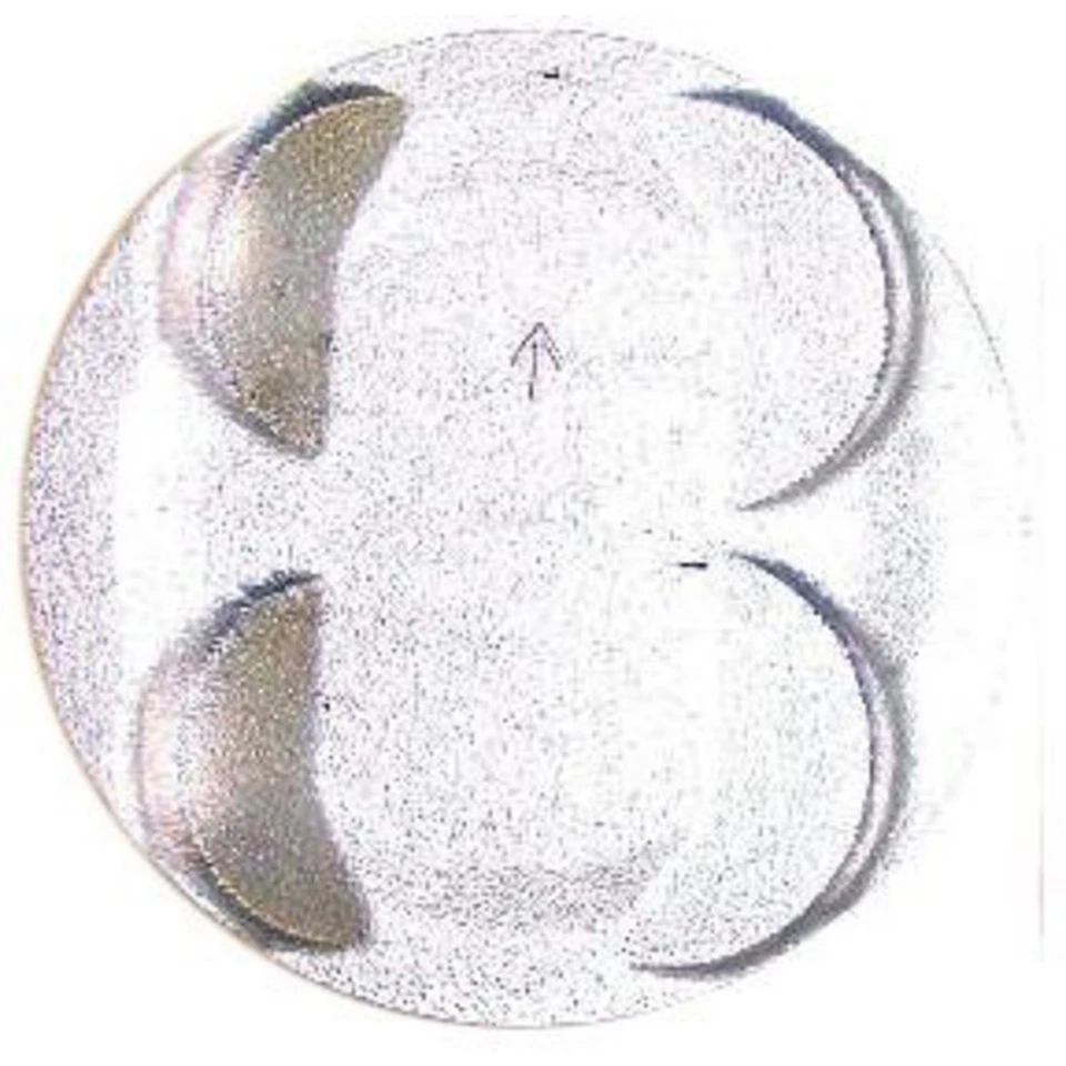 Juego de 4 pistones P503 DNJ para Chevy Chevrolet Metro Suzuki Swift 1998-2001 Foto 2 de 3