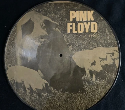 VINYL LP -PICTURE DISC PINK FLOYD LIVE- DARK SIDE SONGS -VG++ -PLAY GRADED