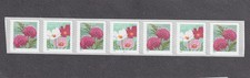 PNC7 5c Butterfly Garden FLWR Non Profit SA B1111 (22) US #5665a Without BN MNH