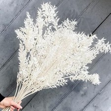 10PCS Preserved White Italian Ruscus Branches   Real Dried Eucalyptus 10pc