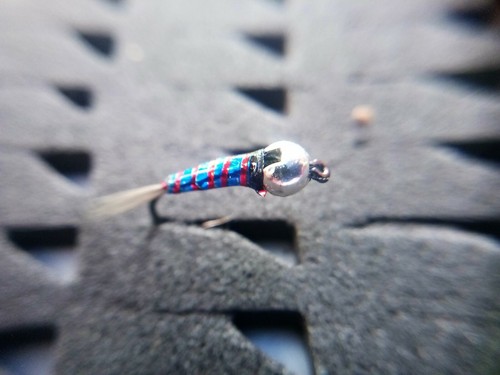 3 perdigones azul brinca roja , cabeza tungsteno plata pesca a mosca - Imagen 2 de 2