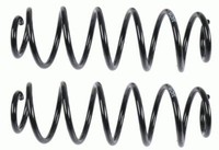 Sachs Fahrwerksfedern Hinten FüR Citroen C4 Coupe I II Peugeot 307
