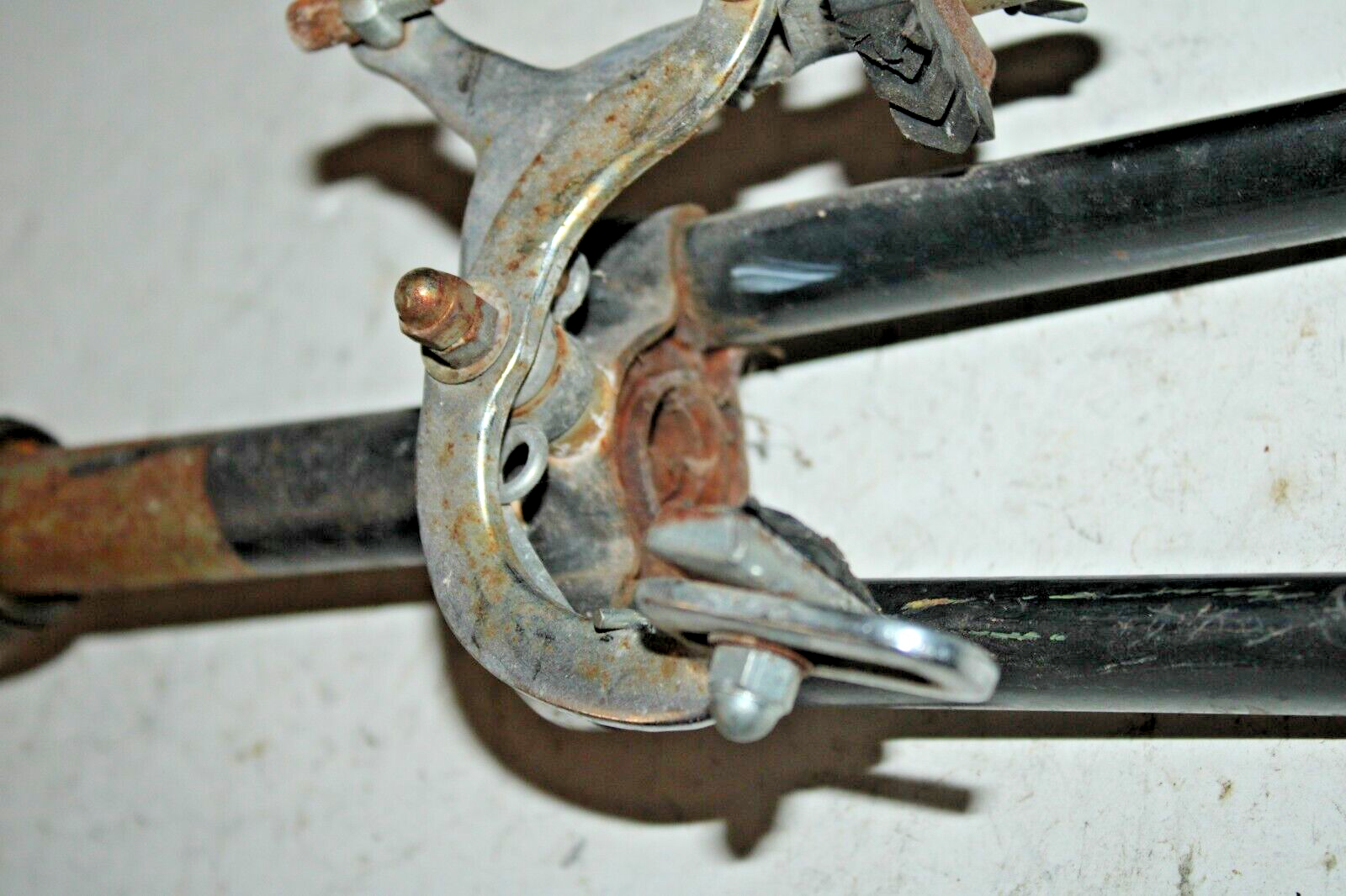 Picture 6 of 19