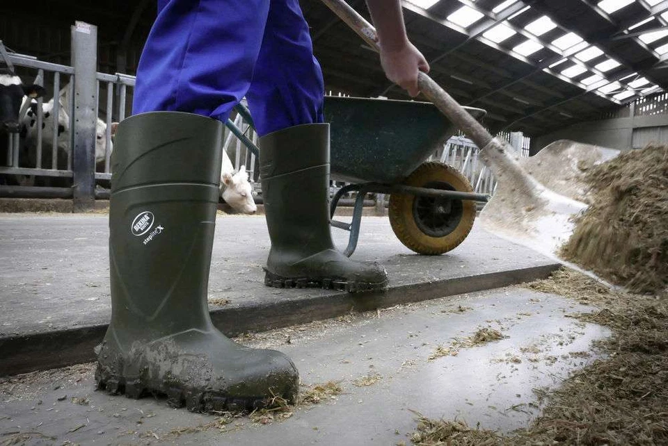 Stivali antinfortunistici Bekina Steplite termici con puntale da lavoro caccia - Immagine 4 di 4