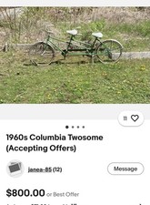 eBay Auction Picture
