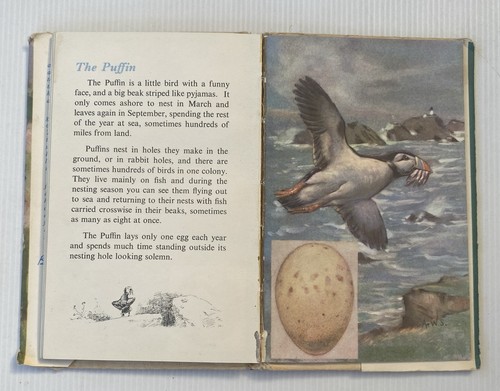 British Birds Second Book, And Their Nests Brian Vesey-Fitzgerald 1954 - Picture 10 of 12