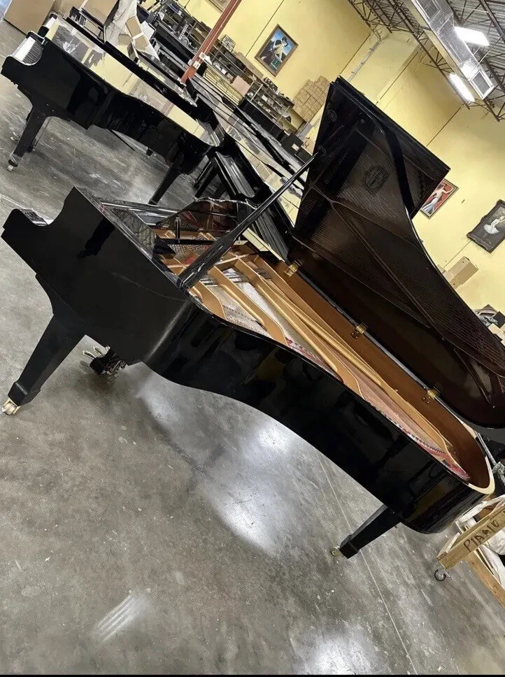 Yamaha cx7 2024
