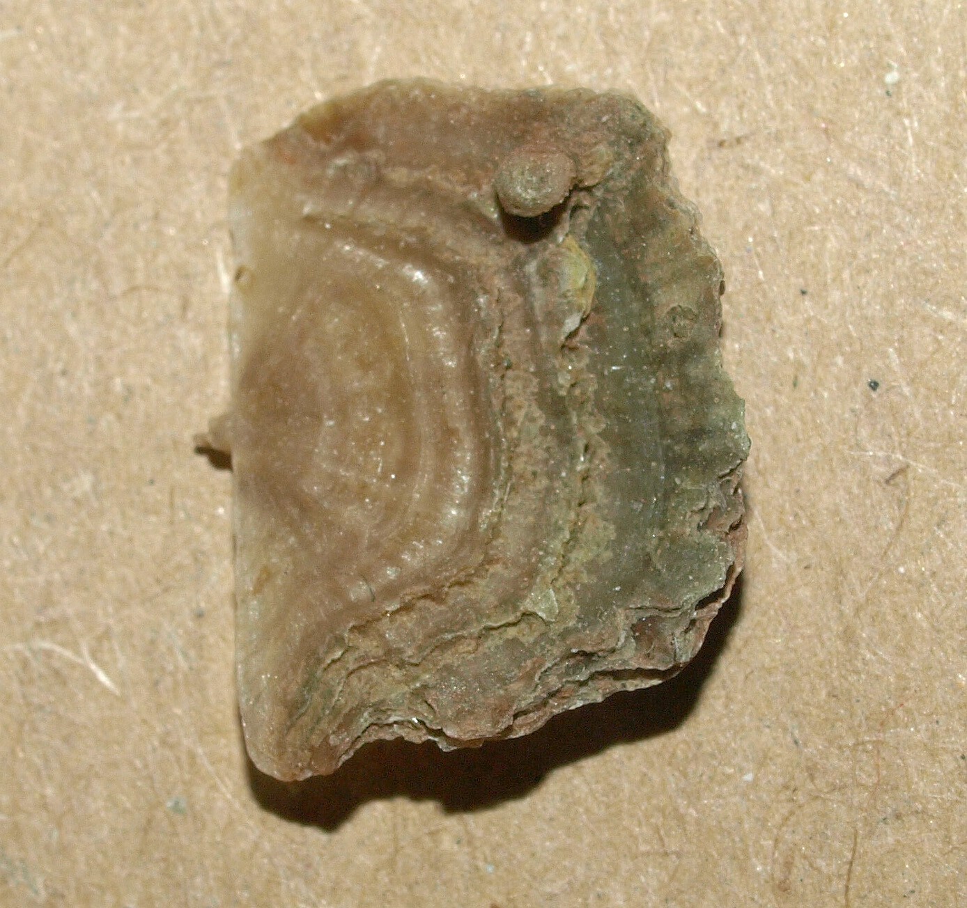 Picture 6 of 11