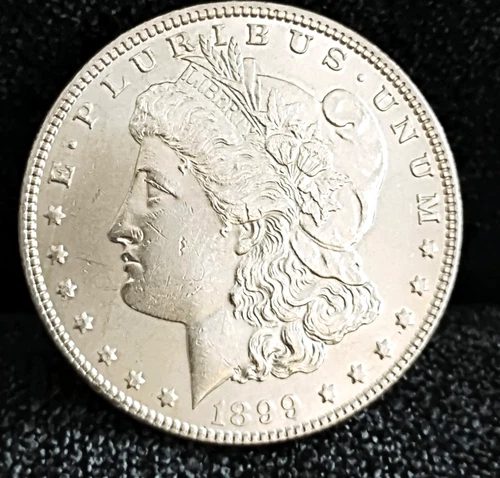 1899 Morgan Dollar MS++ Great Eye Appeal Excellent Strike. 100% Original White