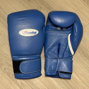 Winning Gloves 16 Oz | eBay
