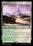 Scattered Groves 0301 Non Foil Rare Doctor Who Commander MTG Near Mint