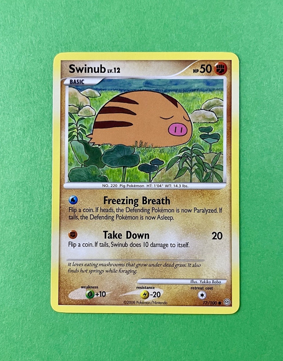 Swinub 77/100 Stormfront Regular 🌱