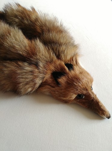 neu Rotfuchs Tierform Schal Stola Kragen Pelzcollier echter Fuchspelz 73cm - Bild 6 von 9