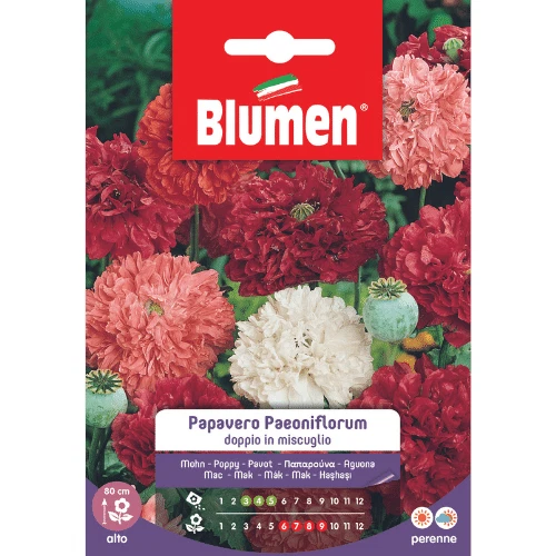 Semi per Fiori Papavero Paeoniflorum Doppio in Miscuglio Blumen