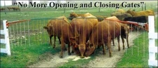 Drive Through Electric Gates 13'-19' Farm Fence Feedlot