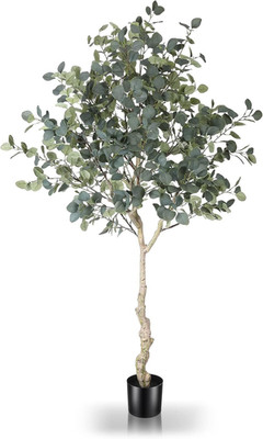 6Ft Artificial Eucalyptus Tree in Plastic Nursery Pot, Tall Faux Eucalyptus Stem