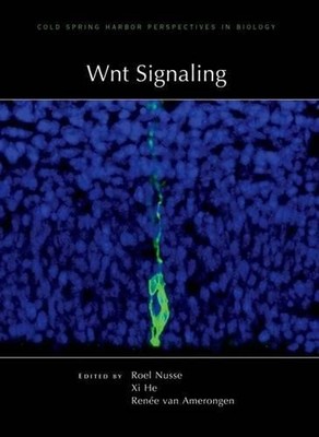 Roel Nusse XI He Renee Van Amerongen Wnt Signaling (Hardback)