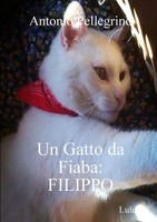 Antonio Pellegrino | Un Gatto Da Fiaba | Taschenbuch | Italienisch (2018)