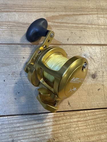 Avet MXJ 5.8 RH Gold Nice Reel Made In USA