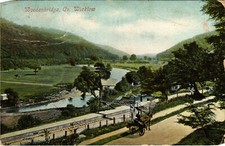 PC WOODENBRIDGE CO. WICKLOW IRELAND VINTAGE POSTCARD (u9995)