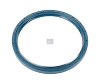 Wellendichtring DT Spare Parts 10.10471 D:145Mm D:167Mm H:13Mm