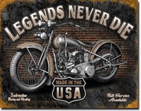 Motorrad Schild 30 X 40 Cm Groß Usa Motto Oldtimer Poster *987