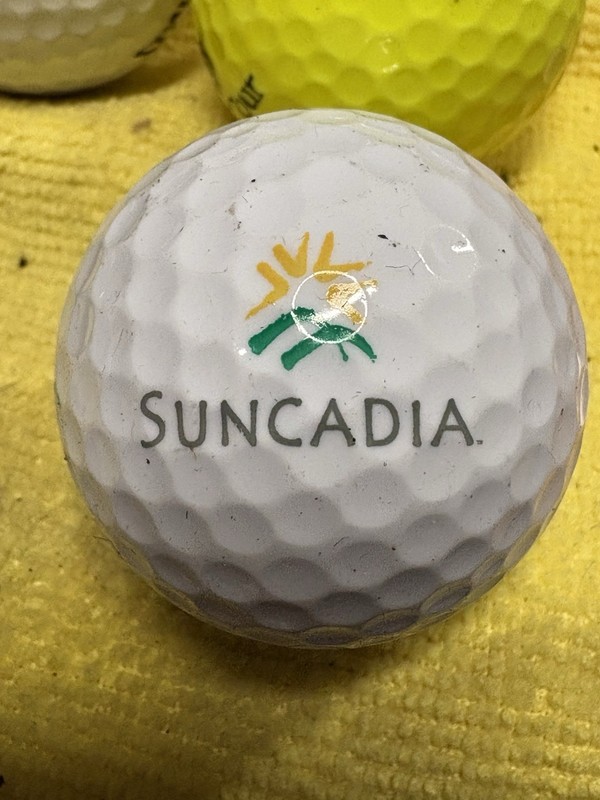 Rope Rider Golf Course @ Suncadia Logo Golf Ball- Cle Elum Washington WA