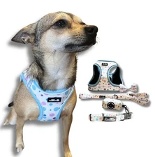 Sky Blue Dog Harness + Leash, Collar, And Poop Bag | Jazzy Pet Paws